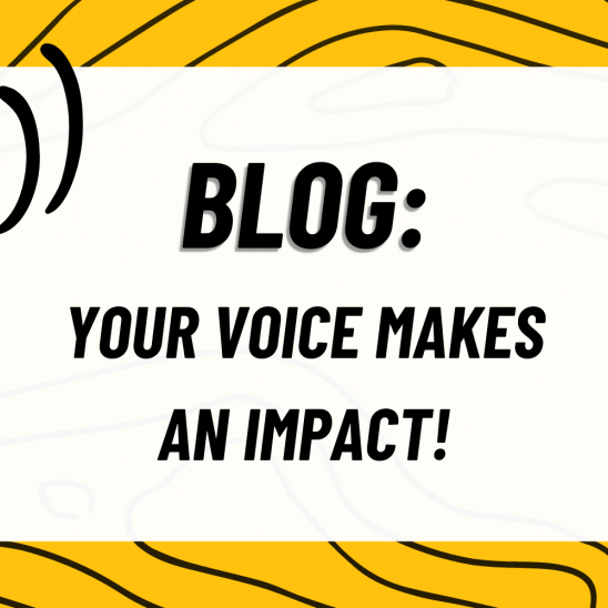 BLOG: Your vote makes an impact!