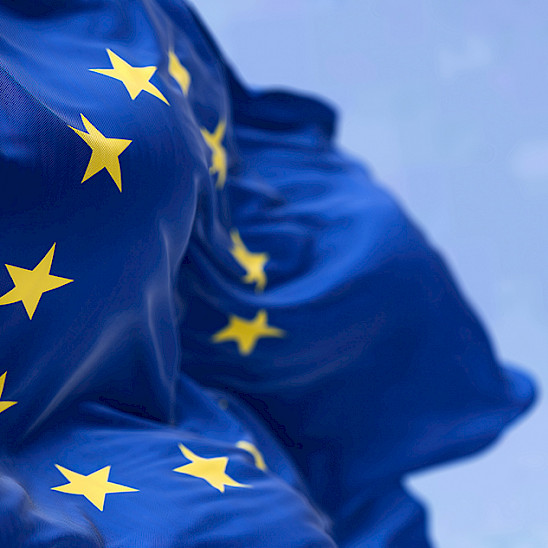 Tradenomit ja kansainvälinen edunvalvonta - EU ja paljon muuta